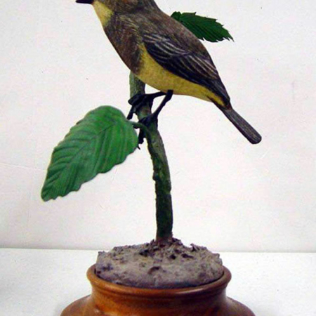 NB001 Bird Bobby Castlebury