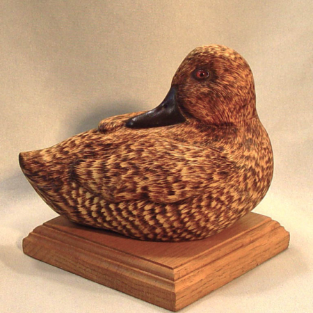 CL101 Duck by Neil Nulton